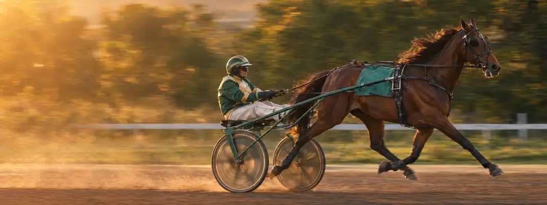 Trotteur attelé et son sulky lancés à pleine vitesse